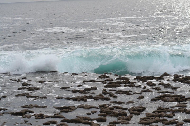 DSC_0903