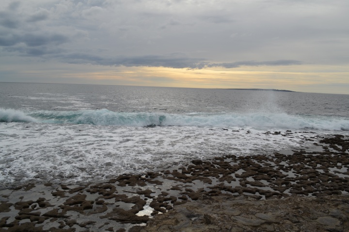 DSC_0907