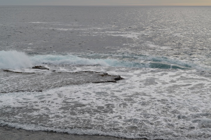 DSC_0912