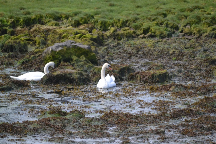 DSC_0953