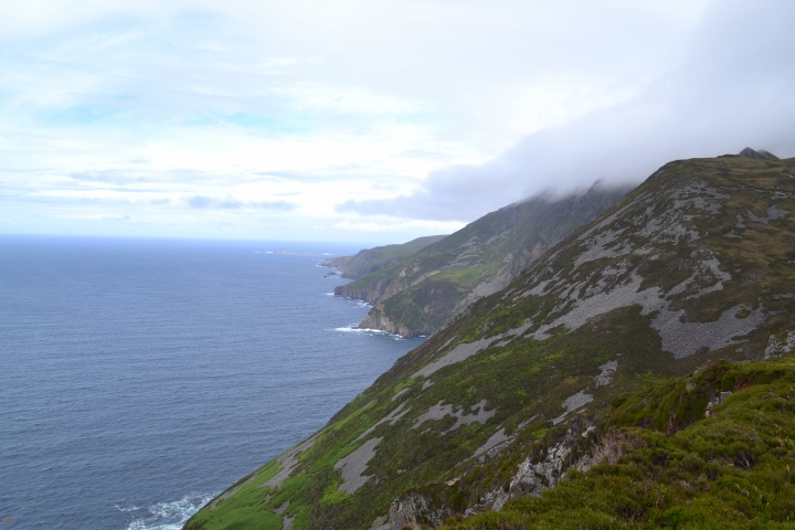 DSC_0960