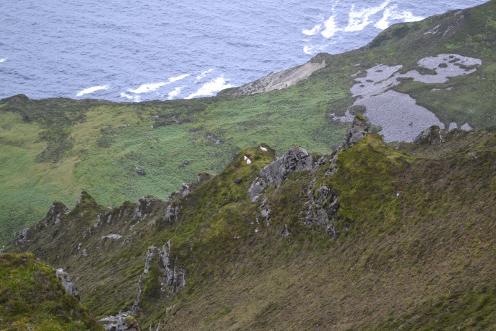 DSC_0980