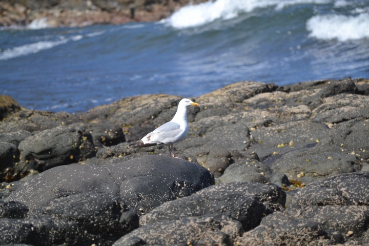 DSC_1005