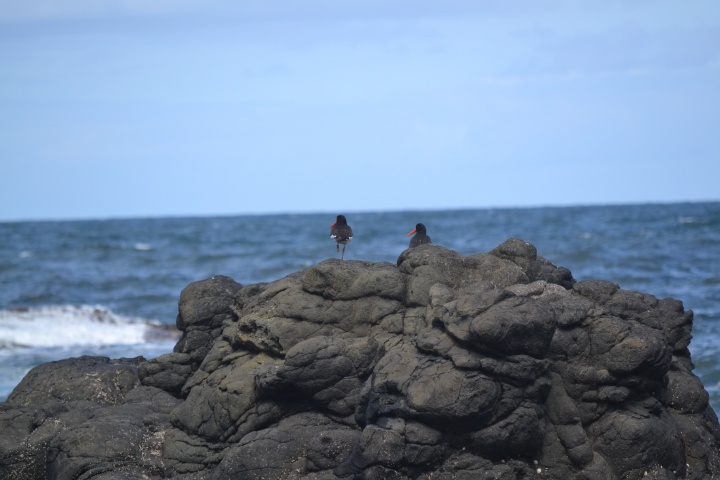 DSC_1021
