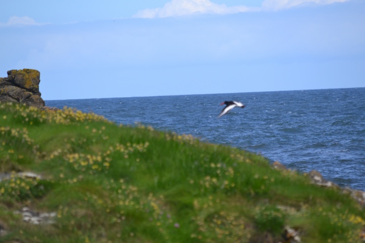 DSC_1031