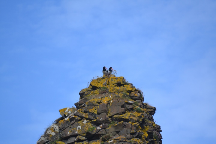 DSC_1057