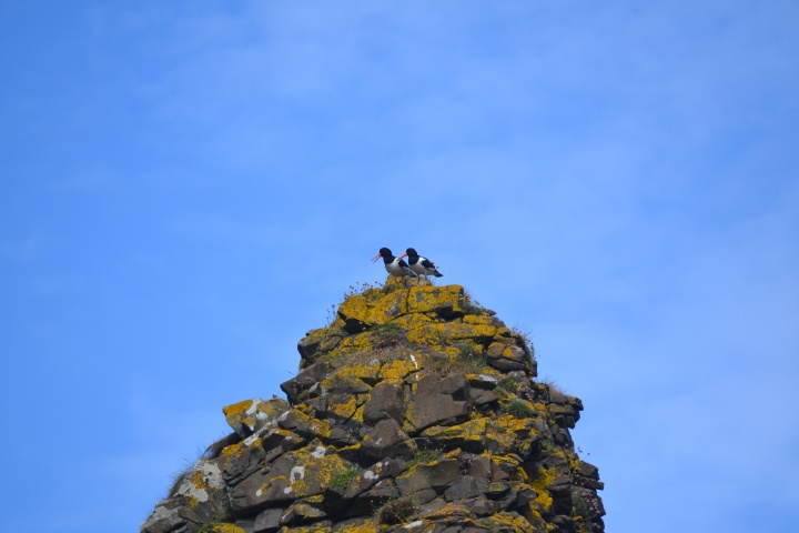 DSC_1059