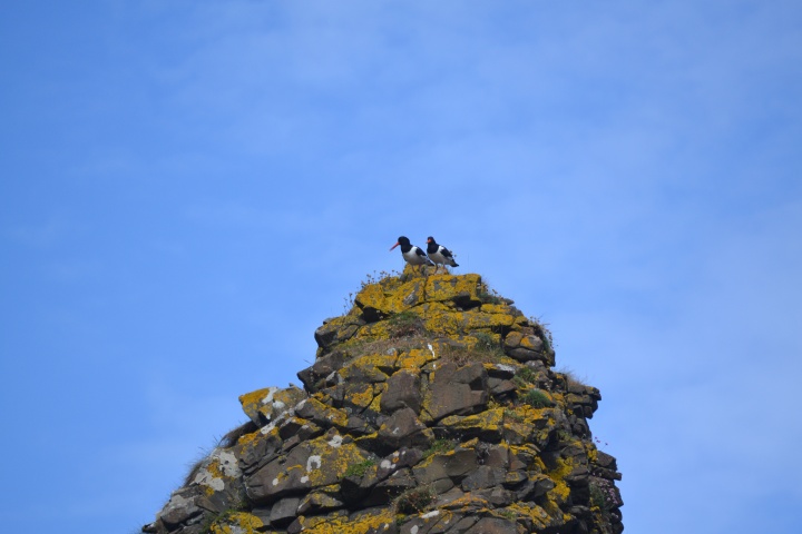DSC_1060