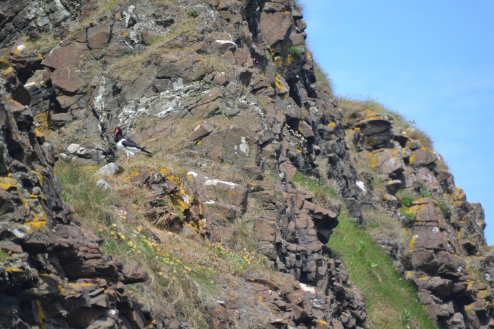 DSC_1067
