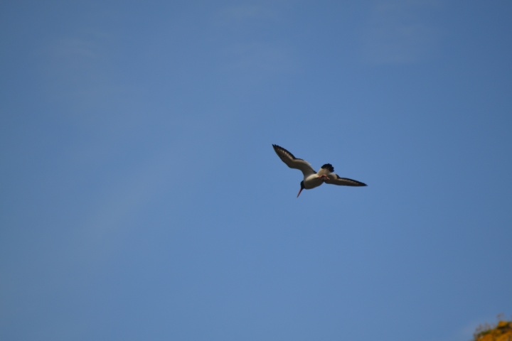 DSC_1072