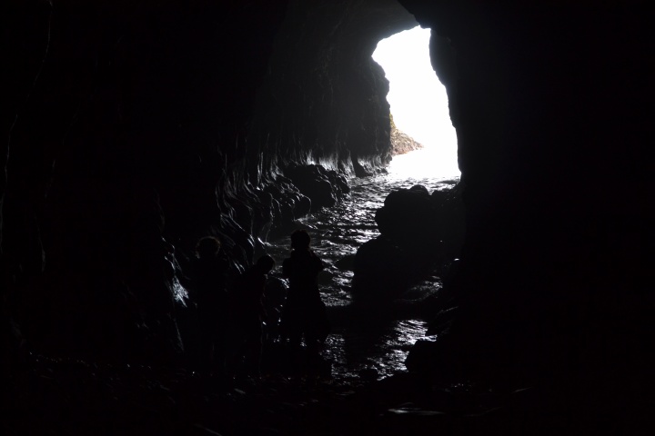 DSC_1082