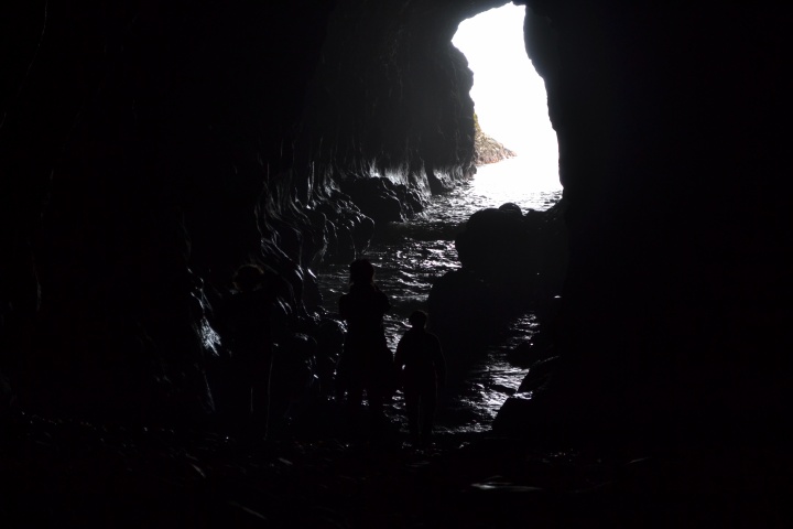 DSC_1084