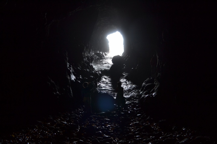 DSC_1088