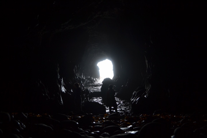 DSC_1090