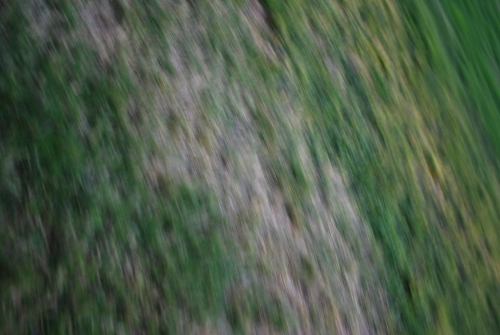 DSC_2046