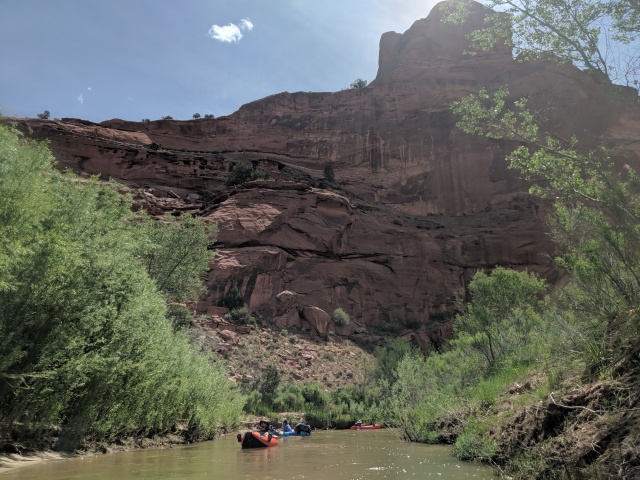 IMG_20190515_115613