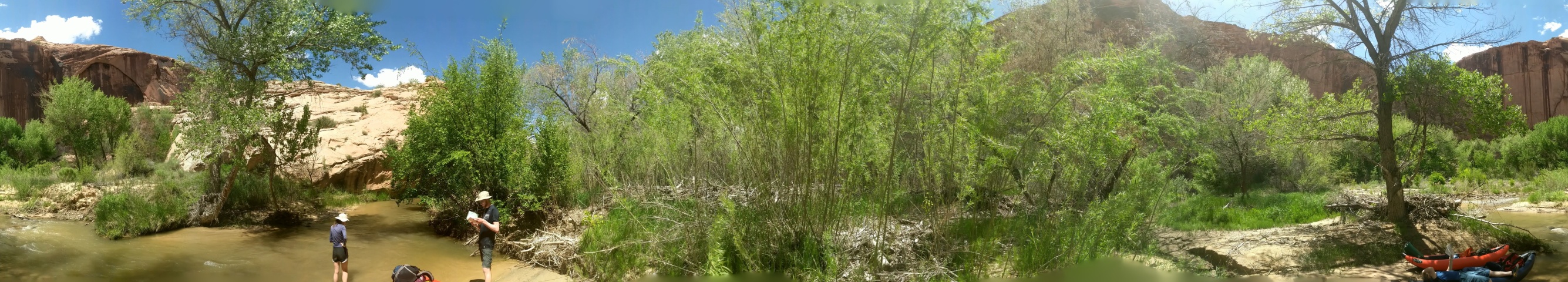 PANO_20190514_143258.vr