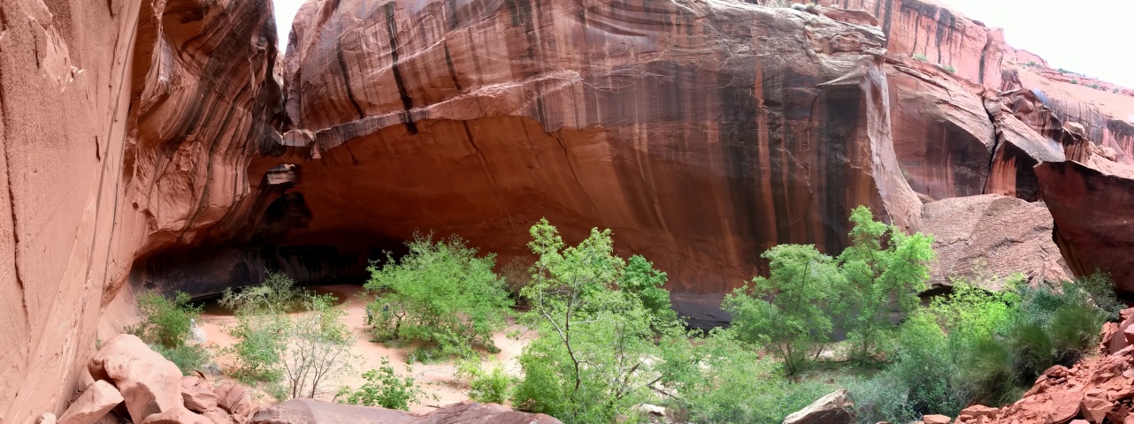 PANO_20190516_133449.vr