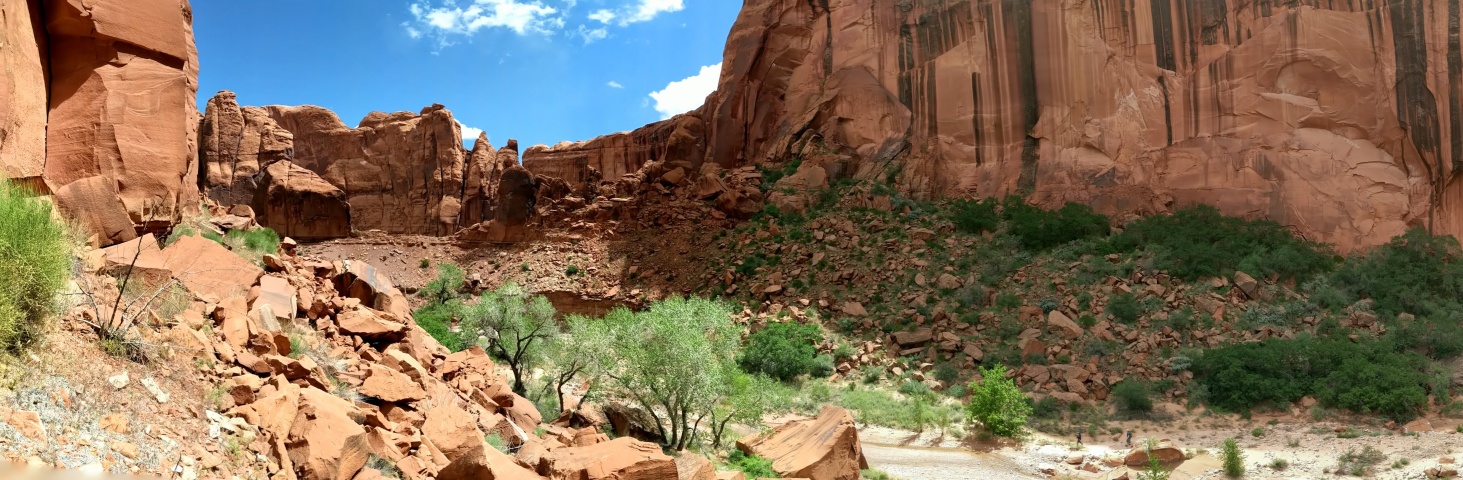 PANO_20190517_115152.vr
