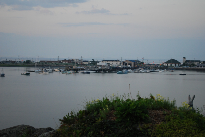DSC_0190