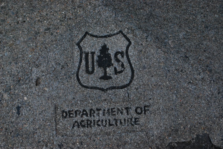 DSC_4356