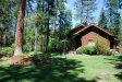 Not our House on the Metolius