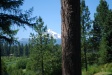 Mt Jefferson