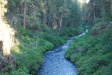 Our kayak's on the Metolius, as seen from deck at Eleanor's lodge