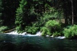 Water coming out the side the hill into the Metolius
