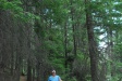 Sue on the hike along the Metolius in the trees