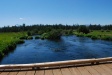 Metolius at the bridge below HOM