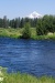 Mt Jefferson behind the Metolius