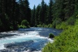 View upstream from the fish hatchery, I can just see them...