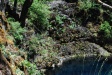 Kids climbing on rock, going to jump into the cold water