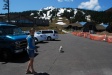 Brynn walking Sitka to Mt Bachelor ski area lifts