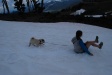 Brynn is in the lead over Sitka
