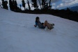 Sitka is passing Brynn...