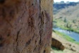 Nice looking rock...