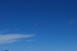 The coast guard fly by at Oceanside