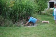 Gary rescuing the frisbee from the monsters of the pond