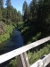 The Metolius river upstream of HOM