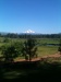 Mt Jefferson from HOM