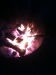 Campfire!