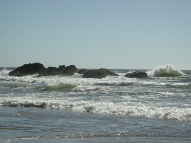 DSCN7645