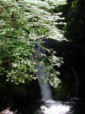 DSCN7476
