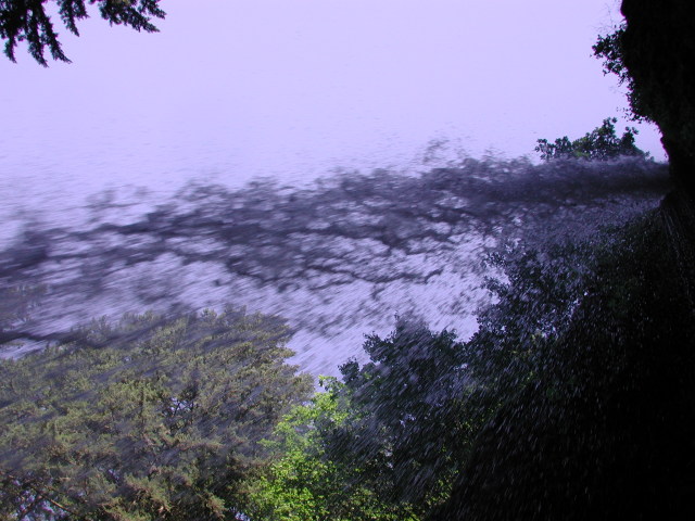 DSCN7501