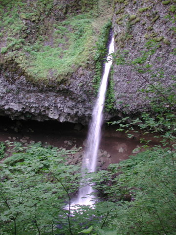 DSCN7502