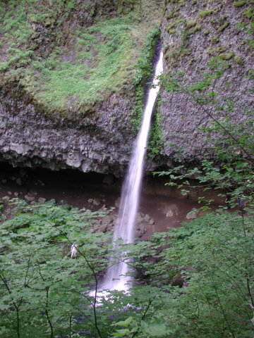 DSCN7503