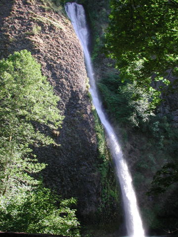 DSCN7505