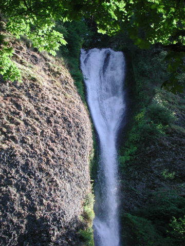 DSCN7506